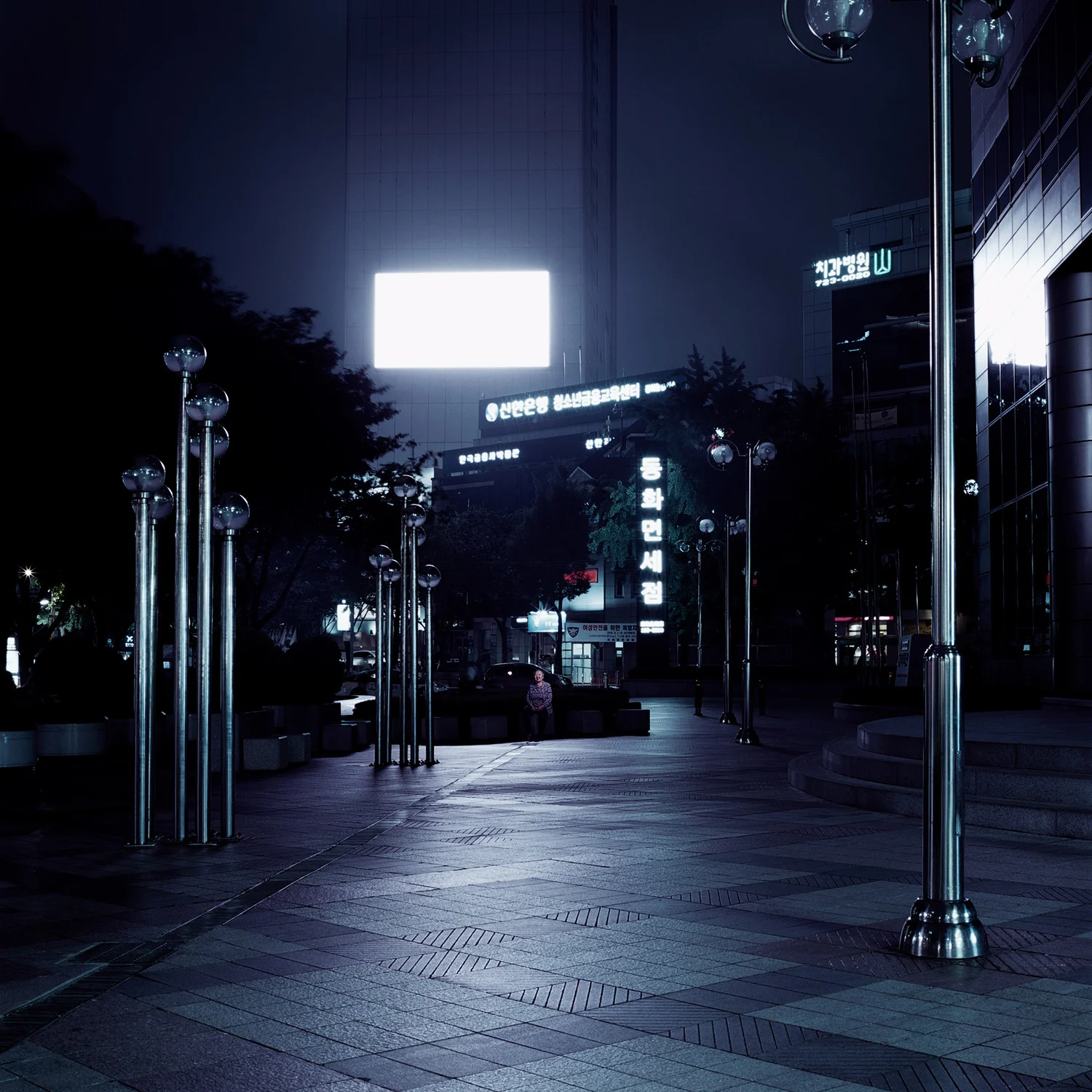 hasselblad503cw_1608_1_1.jpg