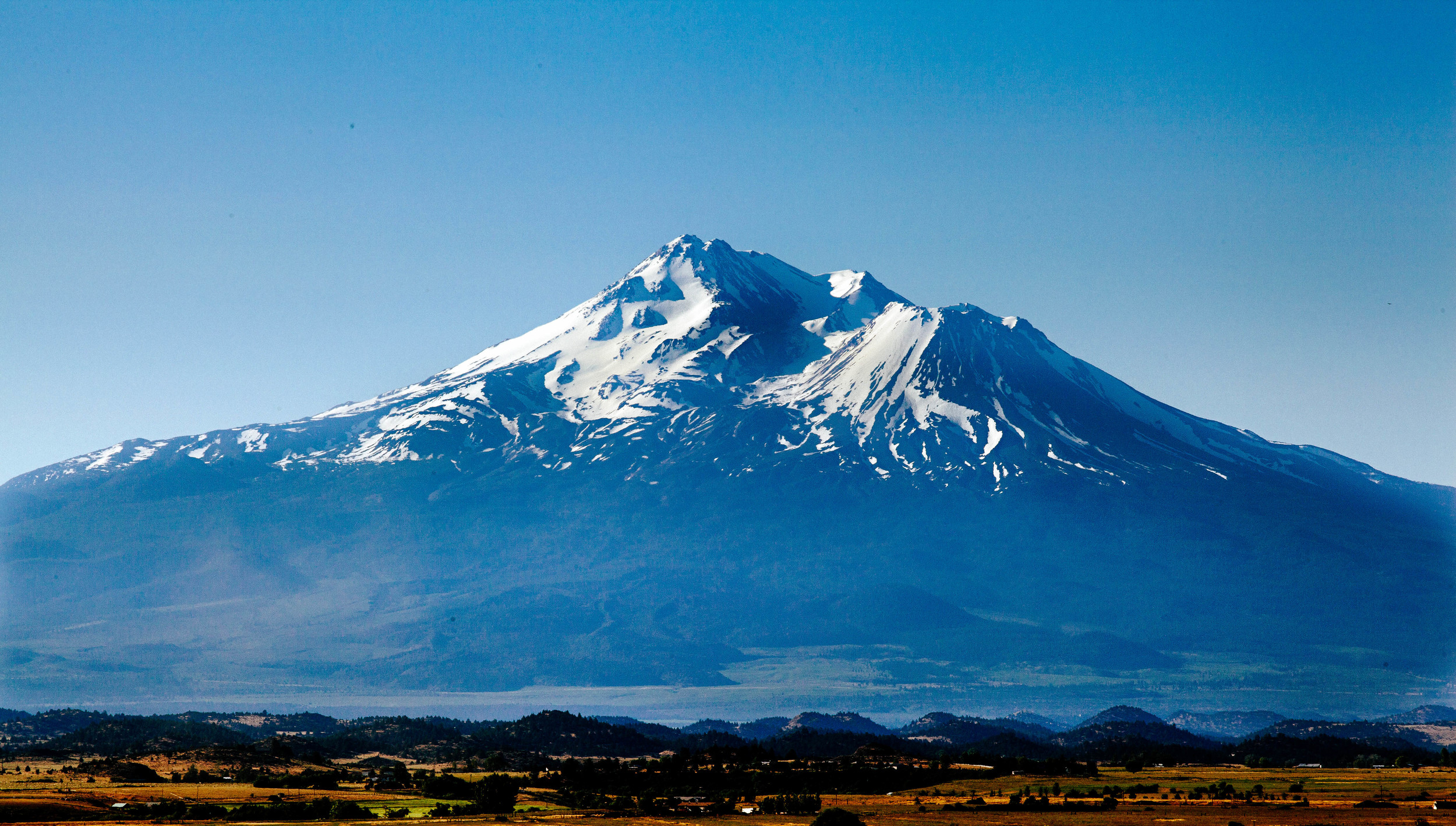 shasta.jpg