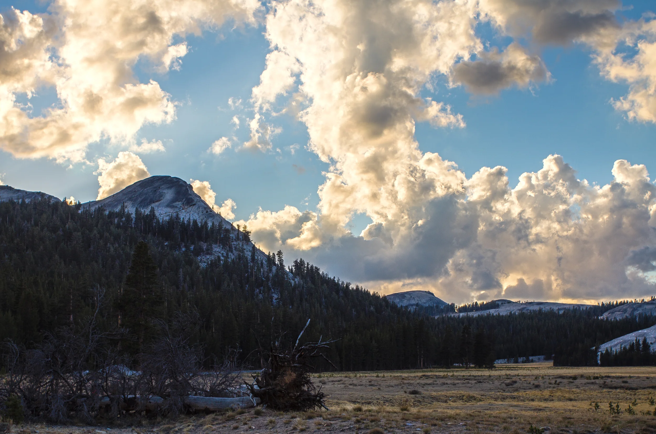 Untitled_HDR2.jpg