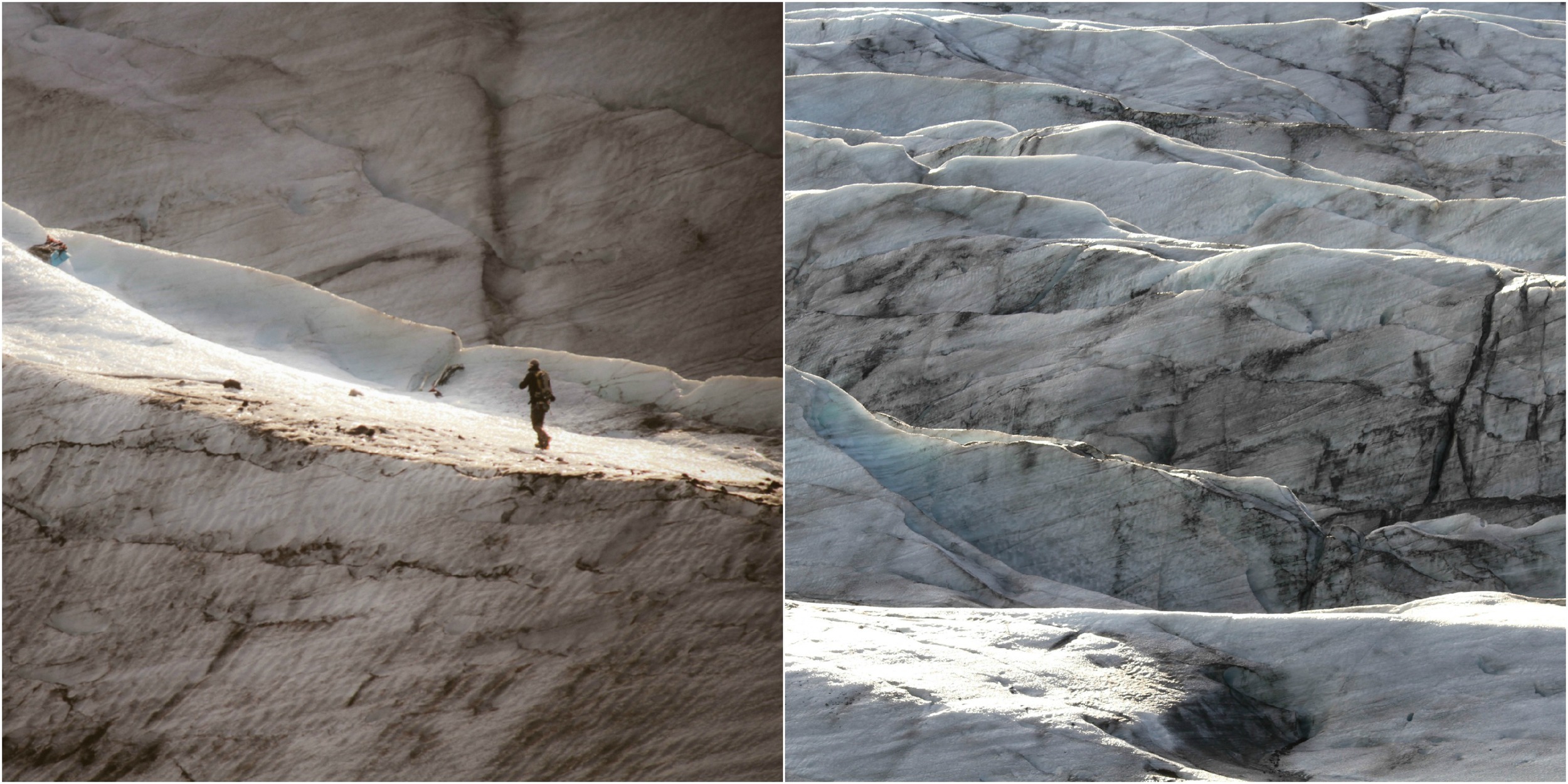 Glacier Collage.jpg