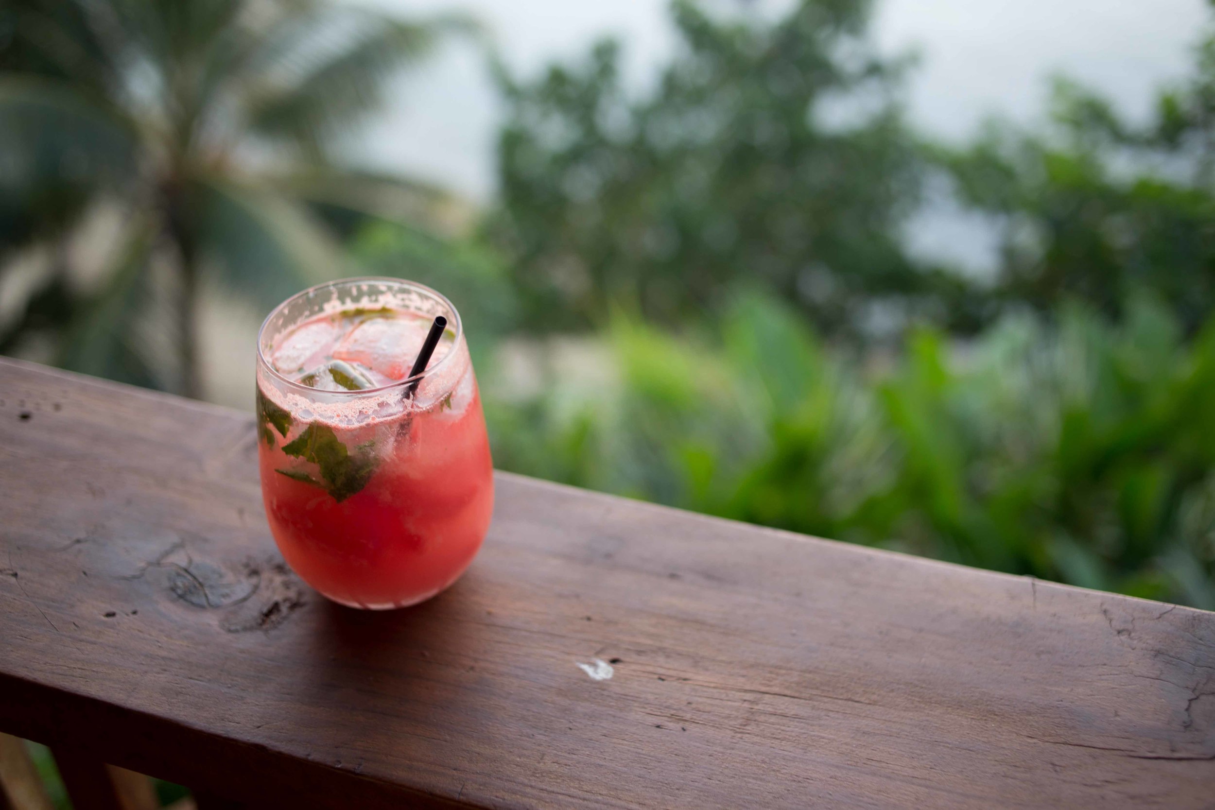 watermelon mojito