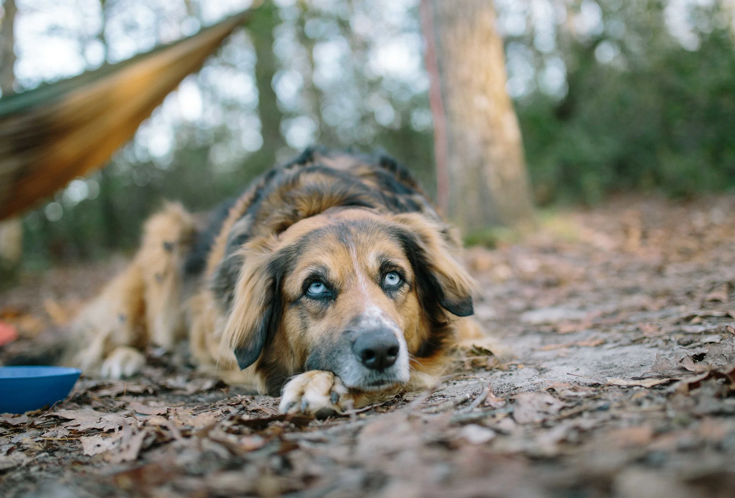 Leaving Fitz, Taking Malta