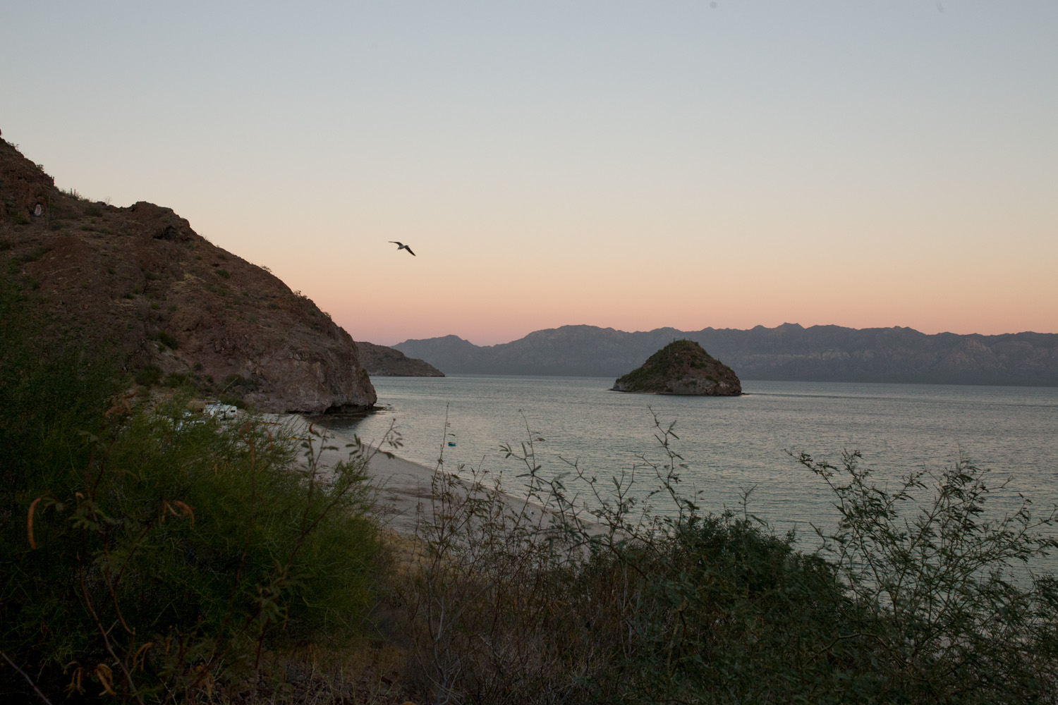 IMG_7234.jpg