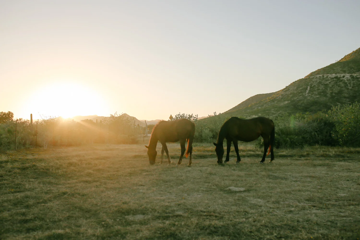 Cabo Pulmo, Baja California Sur
