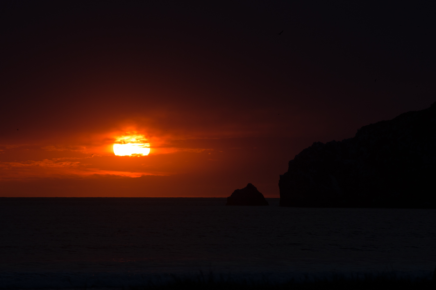 DSC_0061.jpg