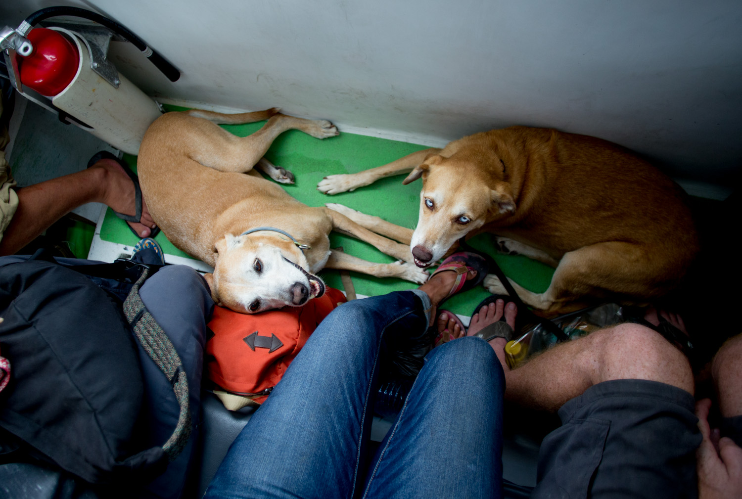Ferry ride