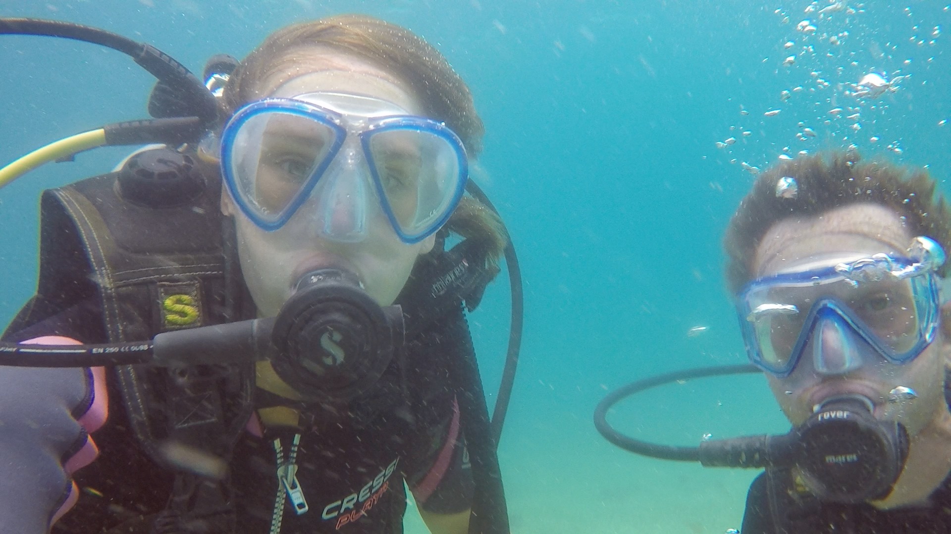  Diving with  Frenchies  