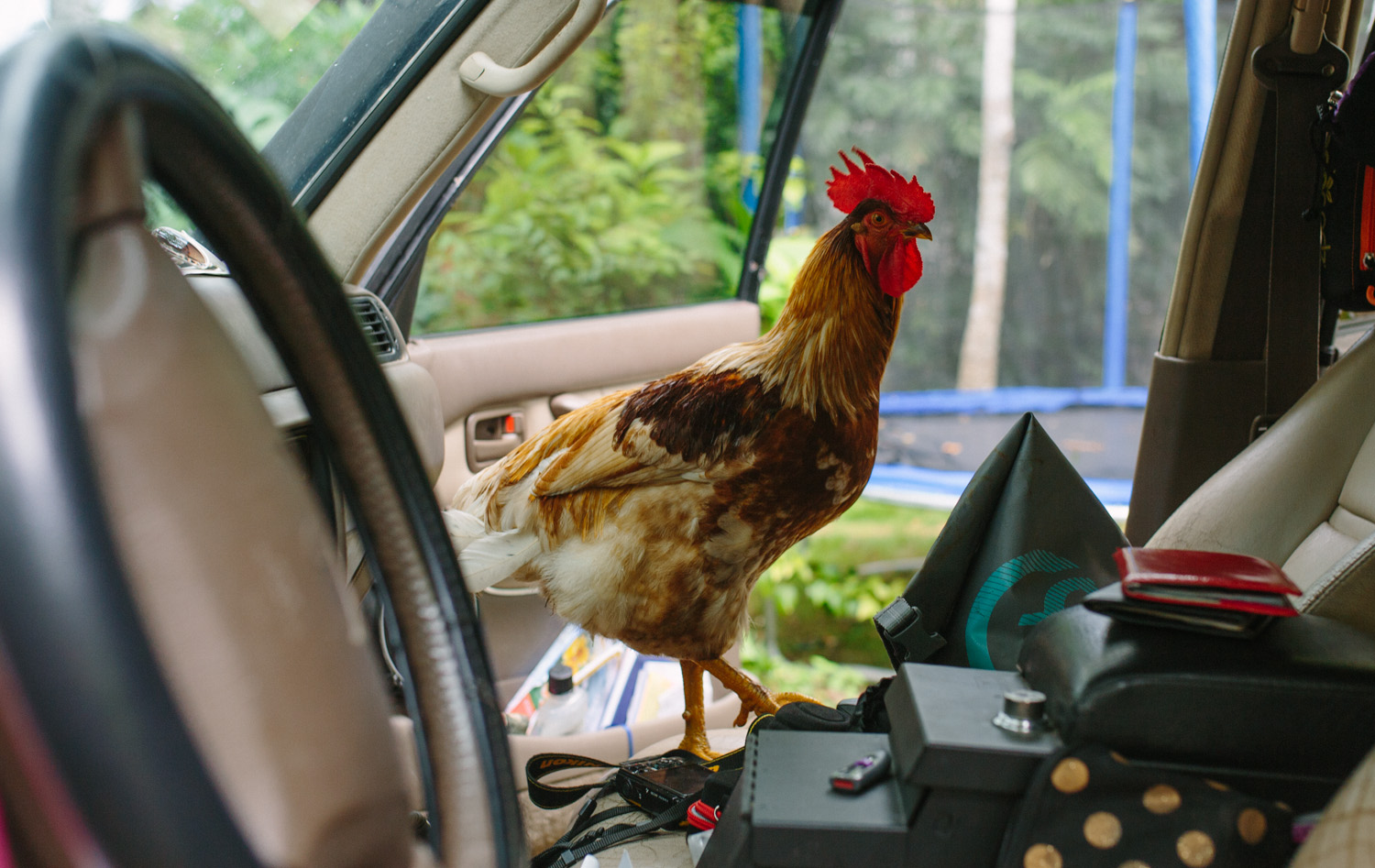 Paco taking over Sunny and Karin's Landcruiser