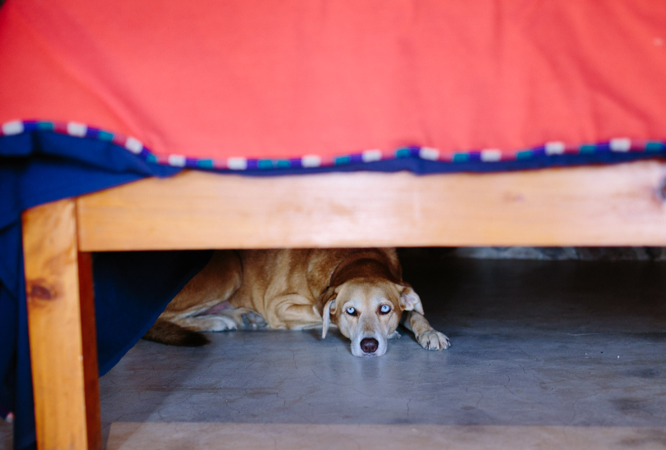 Malta's hiding spot during storms.