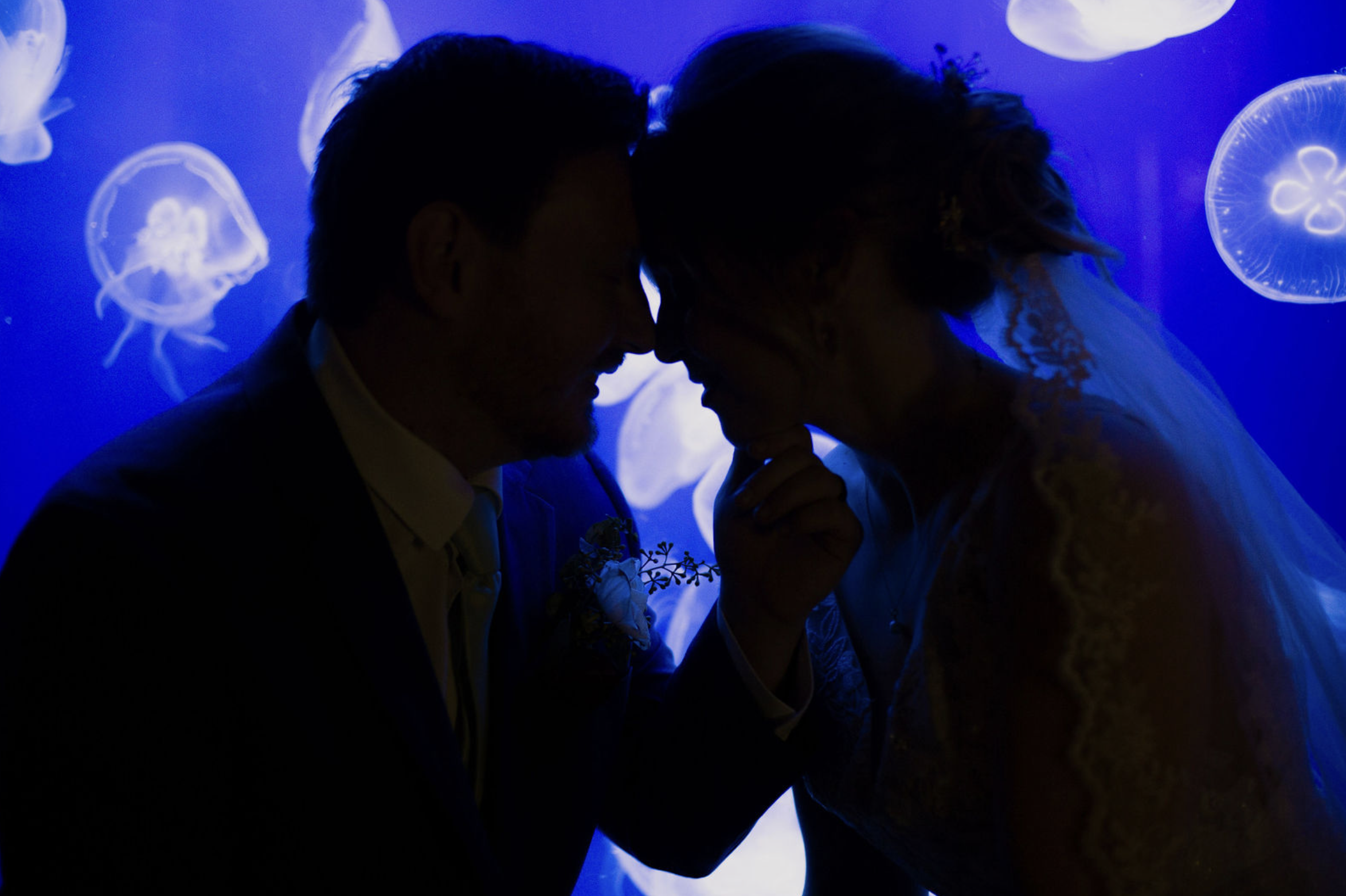 Screenshot 2025-09-04 at 6.39.31 AM.png