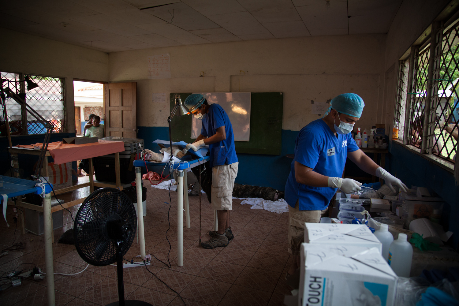 vetclinic-9978.jpg