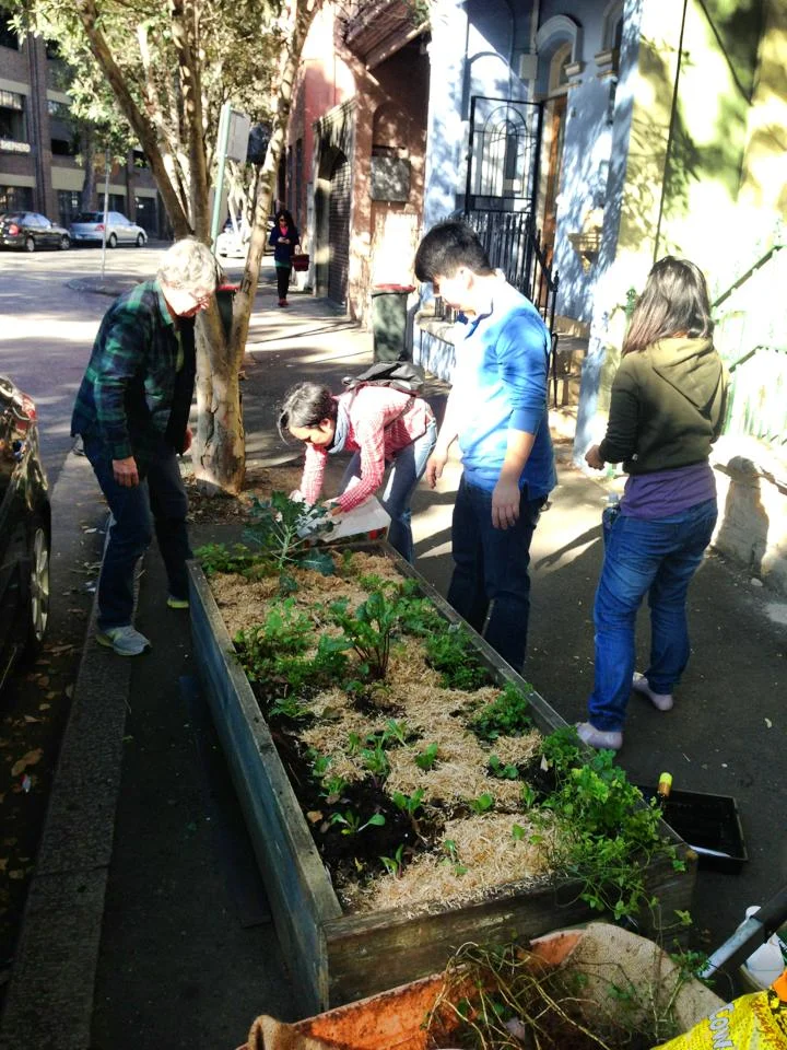 Sus chip Gardening.jpg