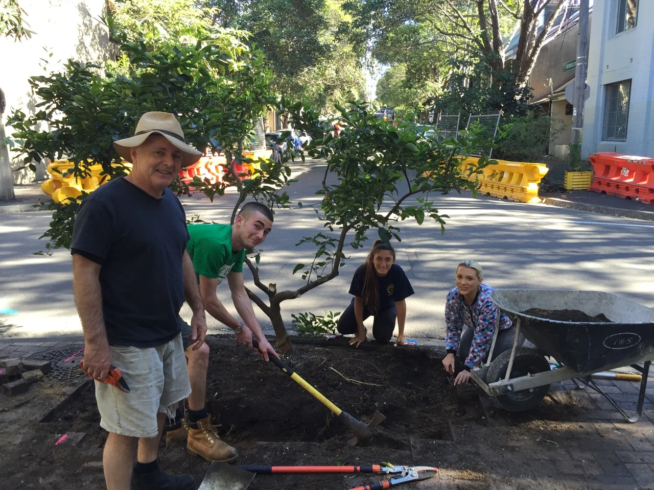 Michael, Eamonn, Bianca and Serena working to free up the tree. We pruned it heavily to reduce the trauma for the tree being uprooted and transplanted.