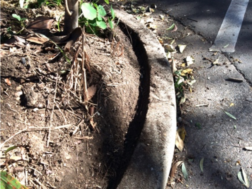  Trimmed soil form a shallow gutter that stops erosion and lost of water. 