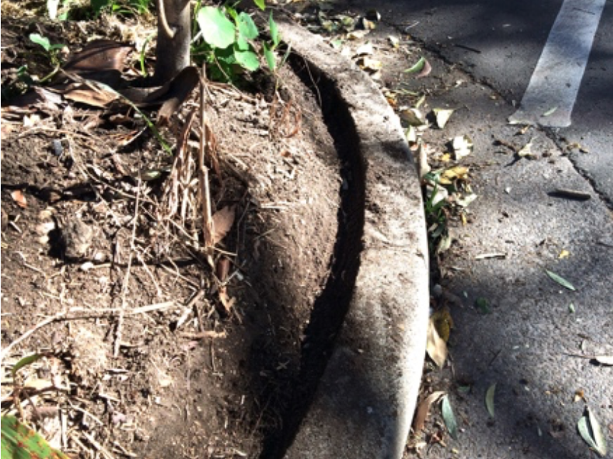 Trimmed soil form a shallow gutter that stops erosion and lost of water.