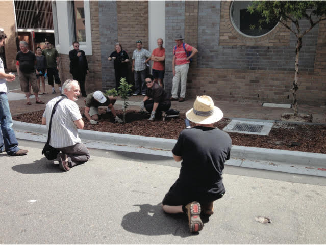  Mayor Clover Moore planting a fruit tree in Myrtle St Chippendale, a strong supporter of our road gardens and urban farming 