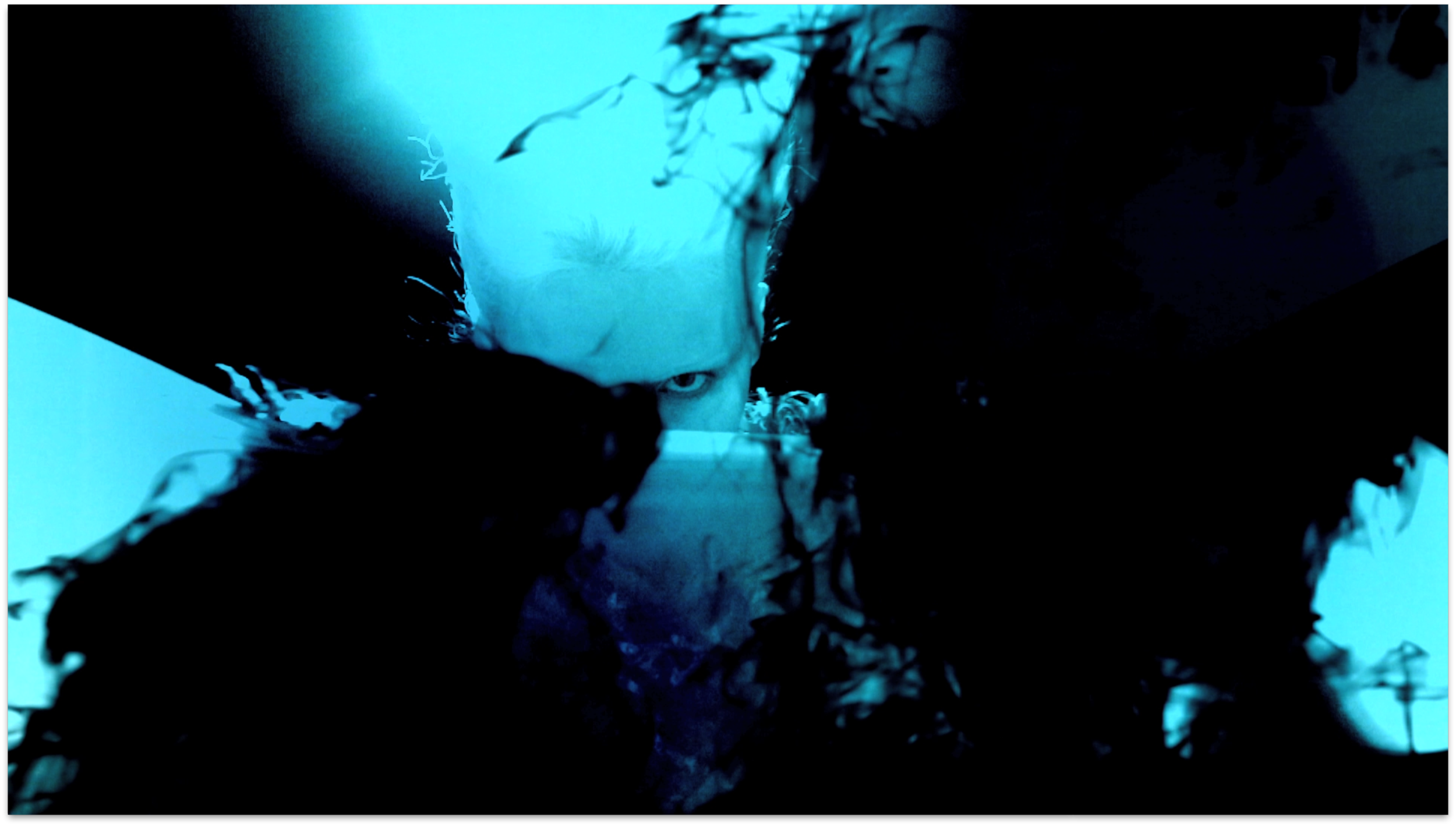 Daphne Guinness - Marionettes by The Fashtons III.png