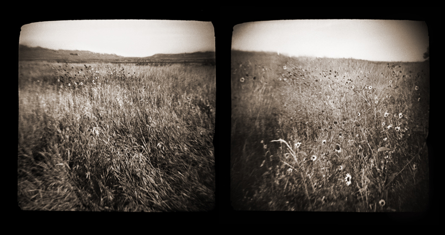 prairie002.diptych.jpg