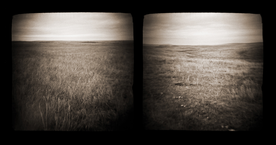 prairie003.diptych.jpg