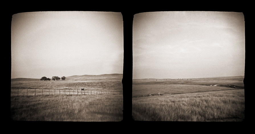 prairie004.diptych.jpg