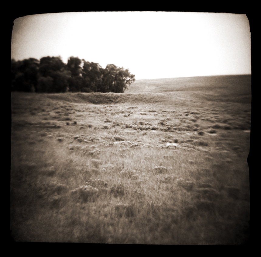 prairie.046.jpg