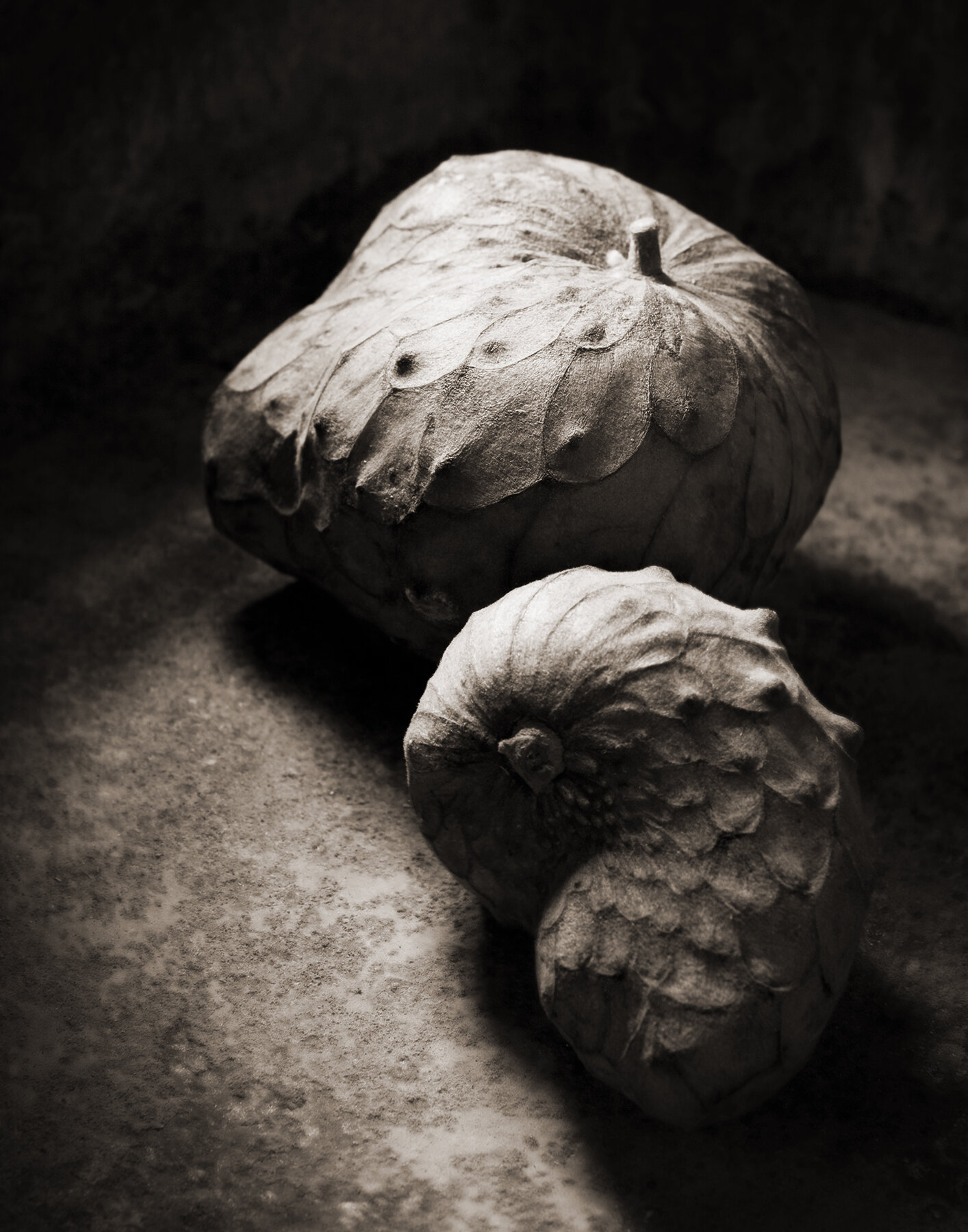 cherimoya.214.jpg