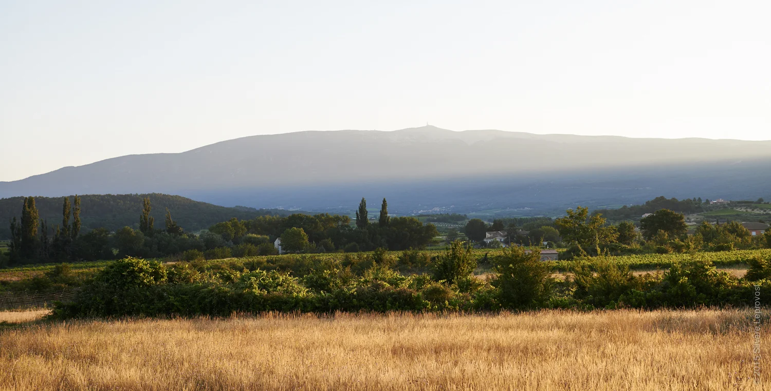 Le Mont Ventoux au levé du soleil - vue de Saint-Estève où est installé Marc Valentini domaine du Grand Vallat