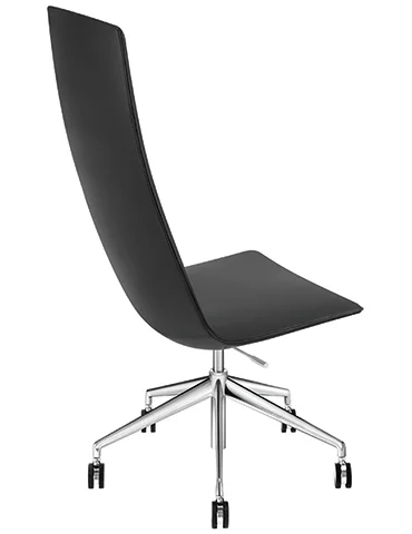 CATFIA SENSIT - 5 WAYS