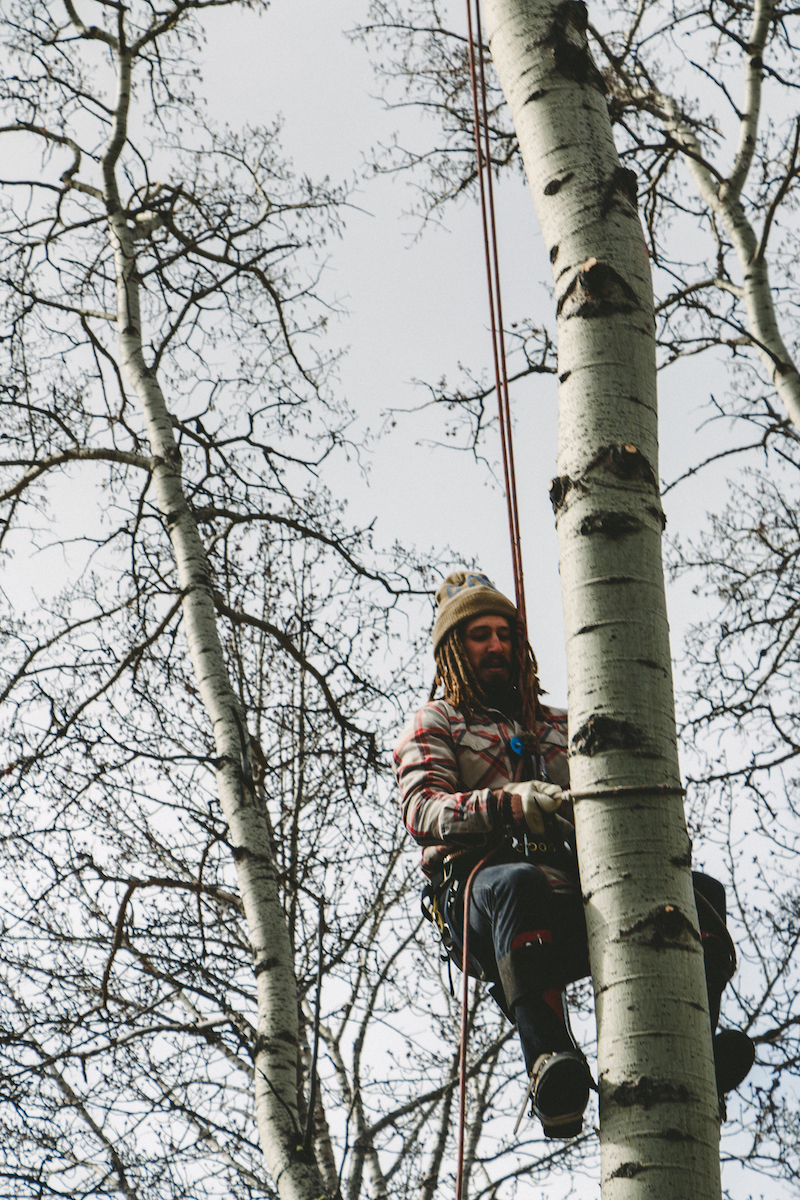Treeclimbing.jpg