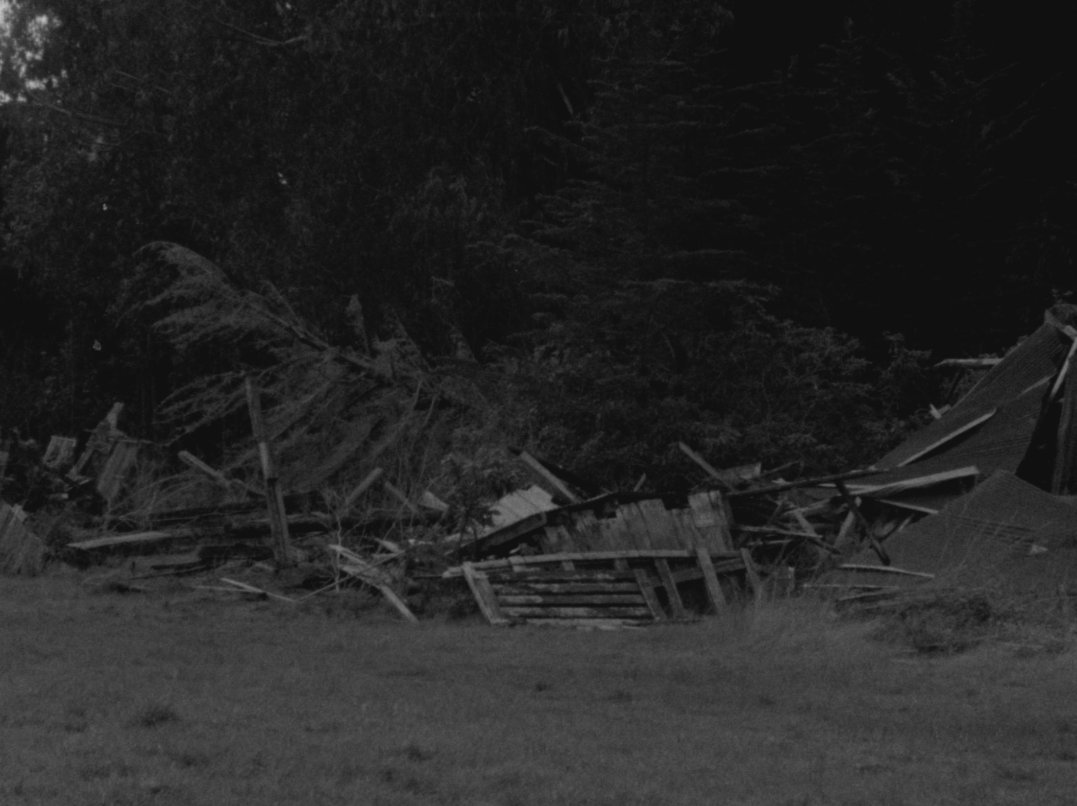 Screen Shot 2024-07-10 at 12.20.43 PM copy.png