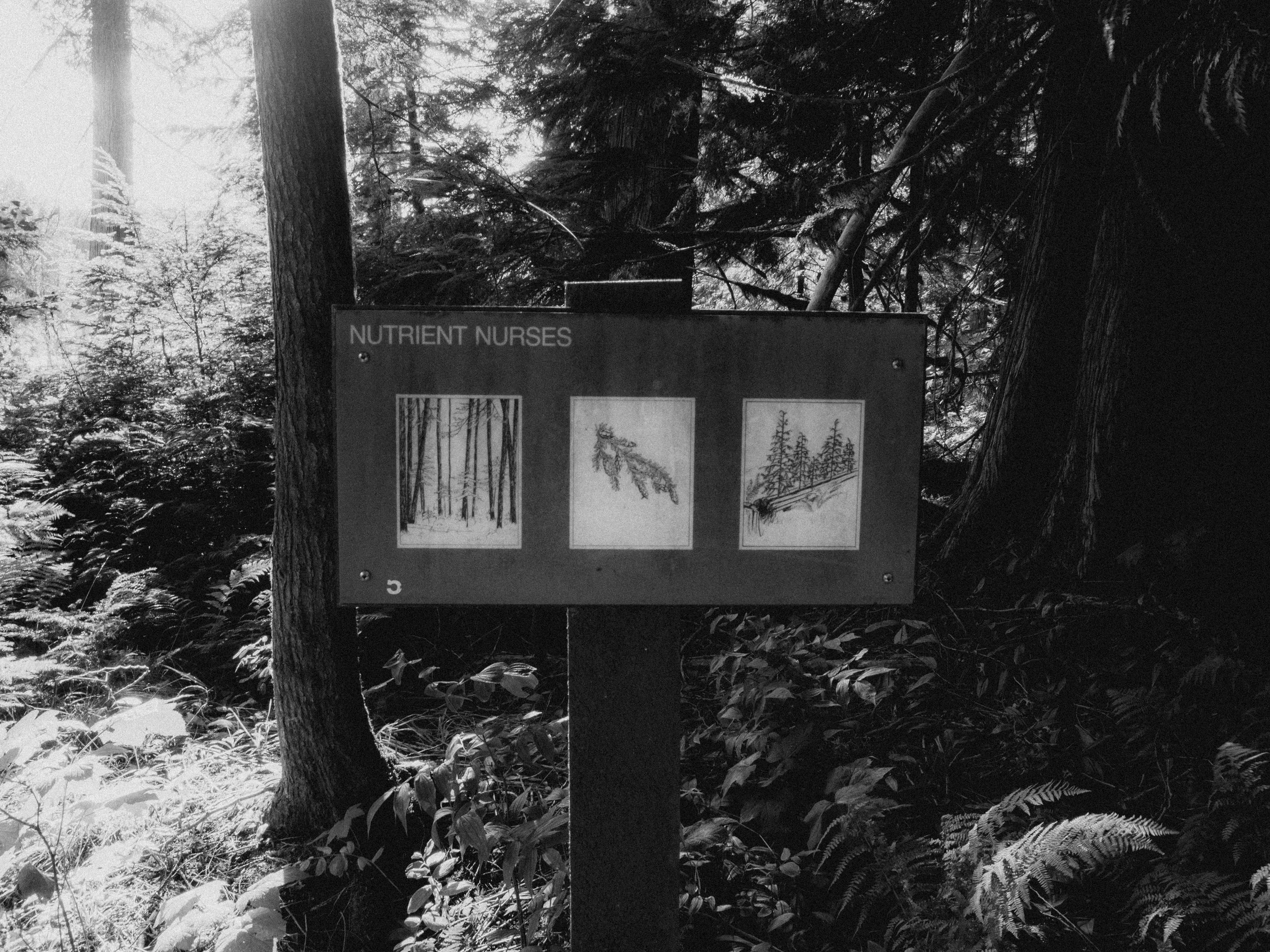 GR004109.jpg
