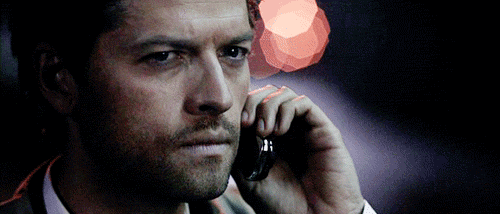 tumblr_l8phxcFnU21qcv5zg.gif