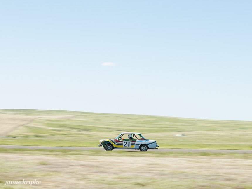 130601_Lemons-23.jpg