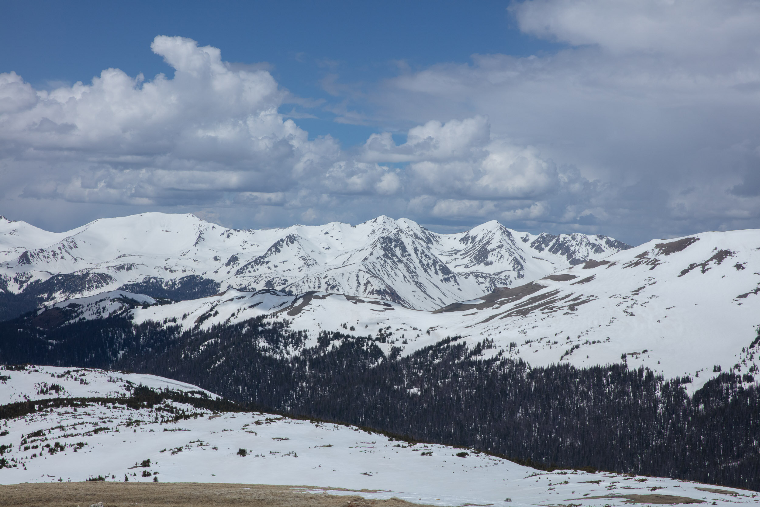 The Divide Print-6.jpg