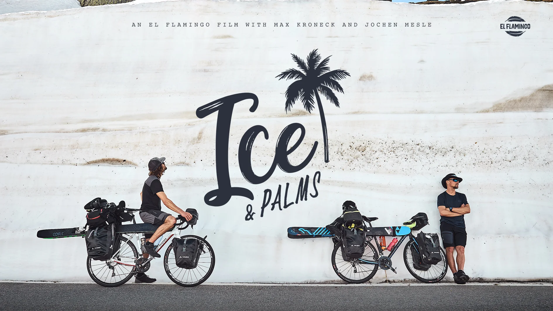 ICE & PALMS_cover.jpg