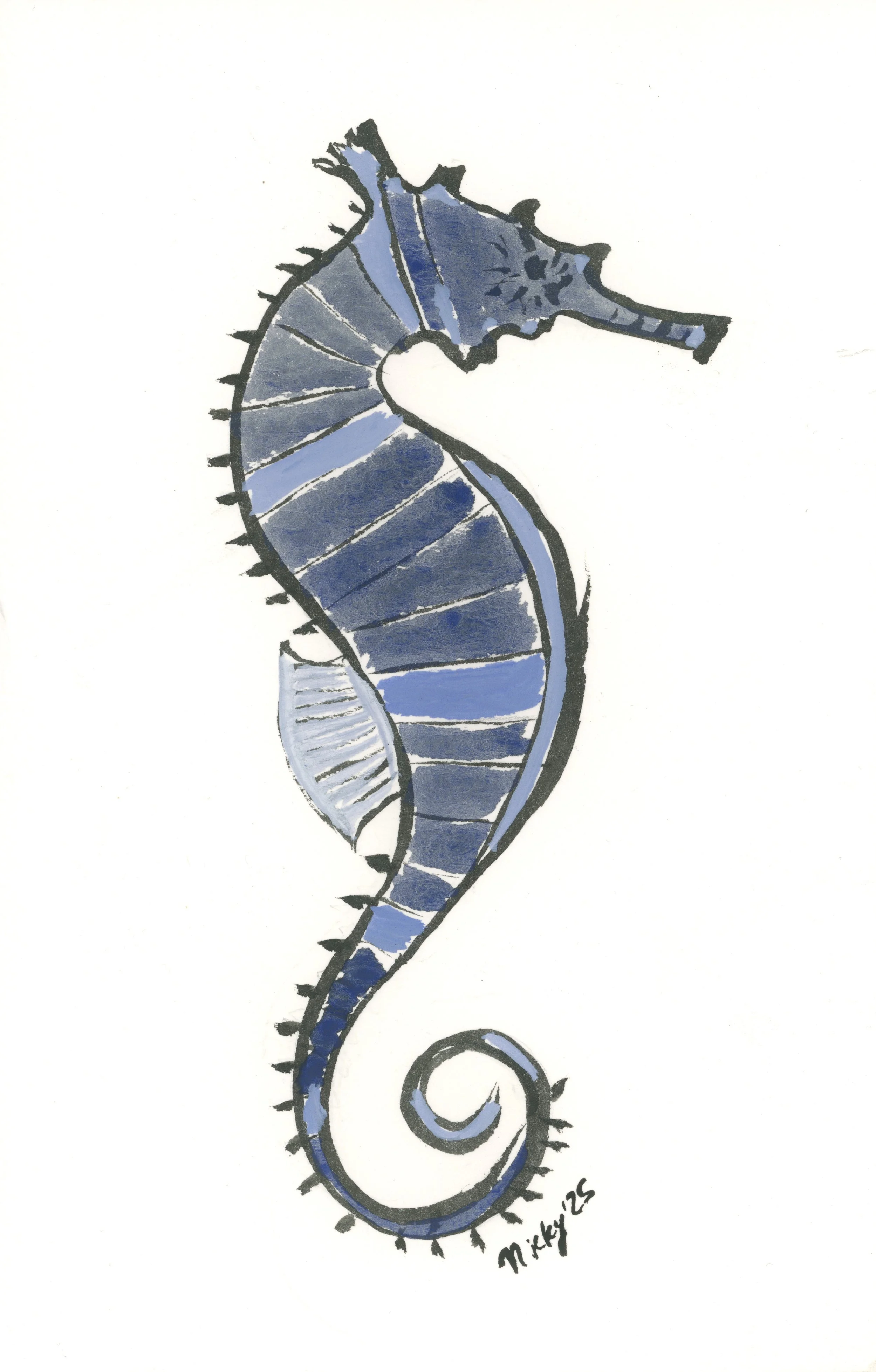 Caballito de Mar de Los Islotes