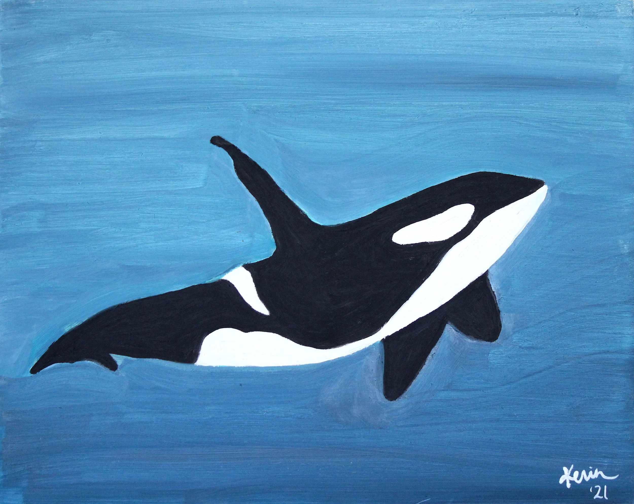Orca