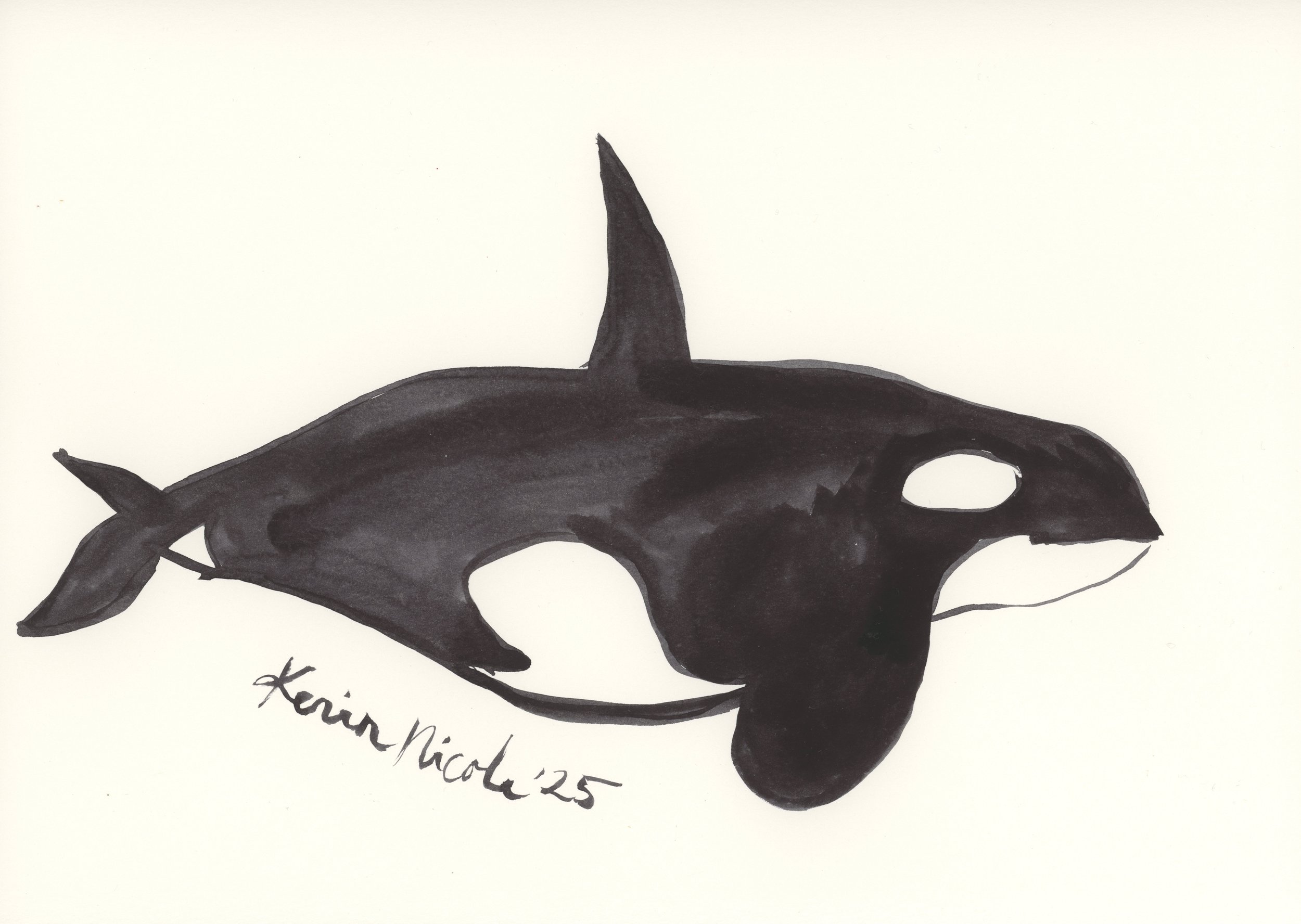 Orca II