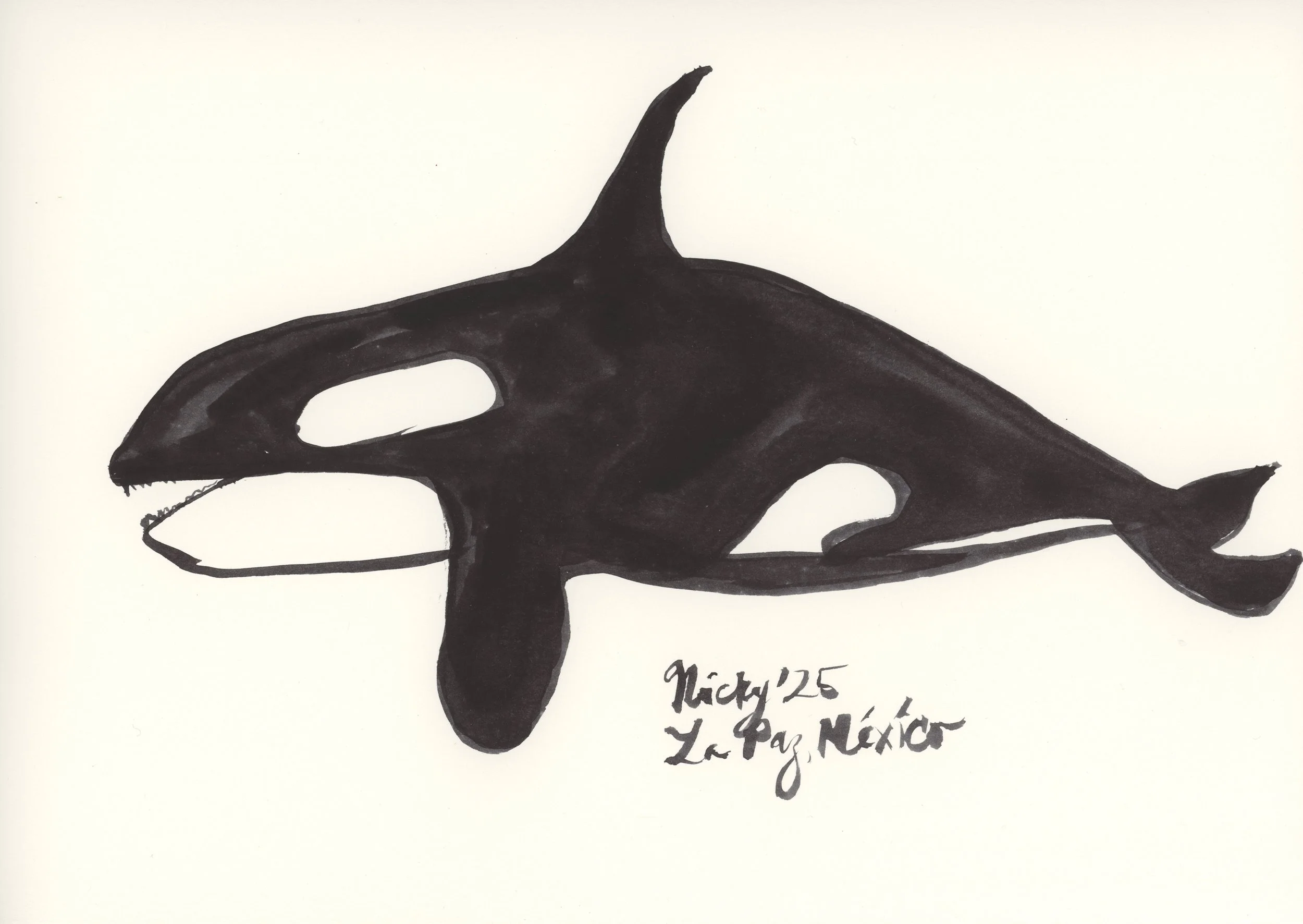 Orca V