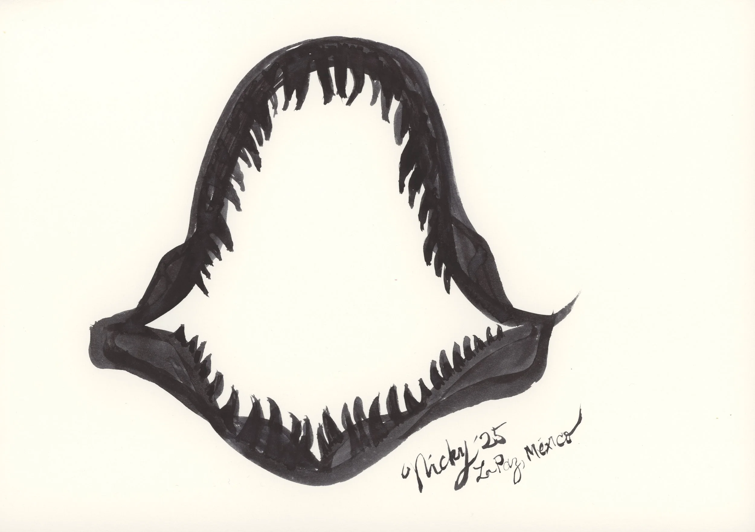 Dientes de Tiburón I