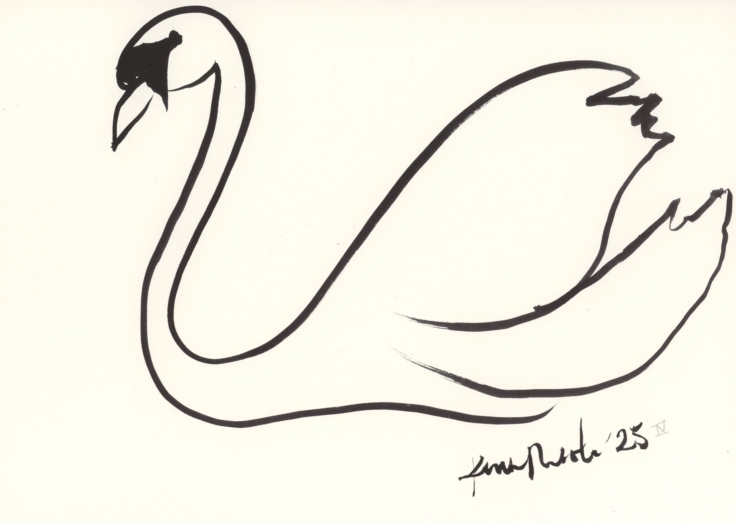 Swan IV