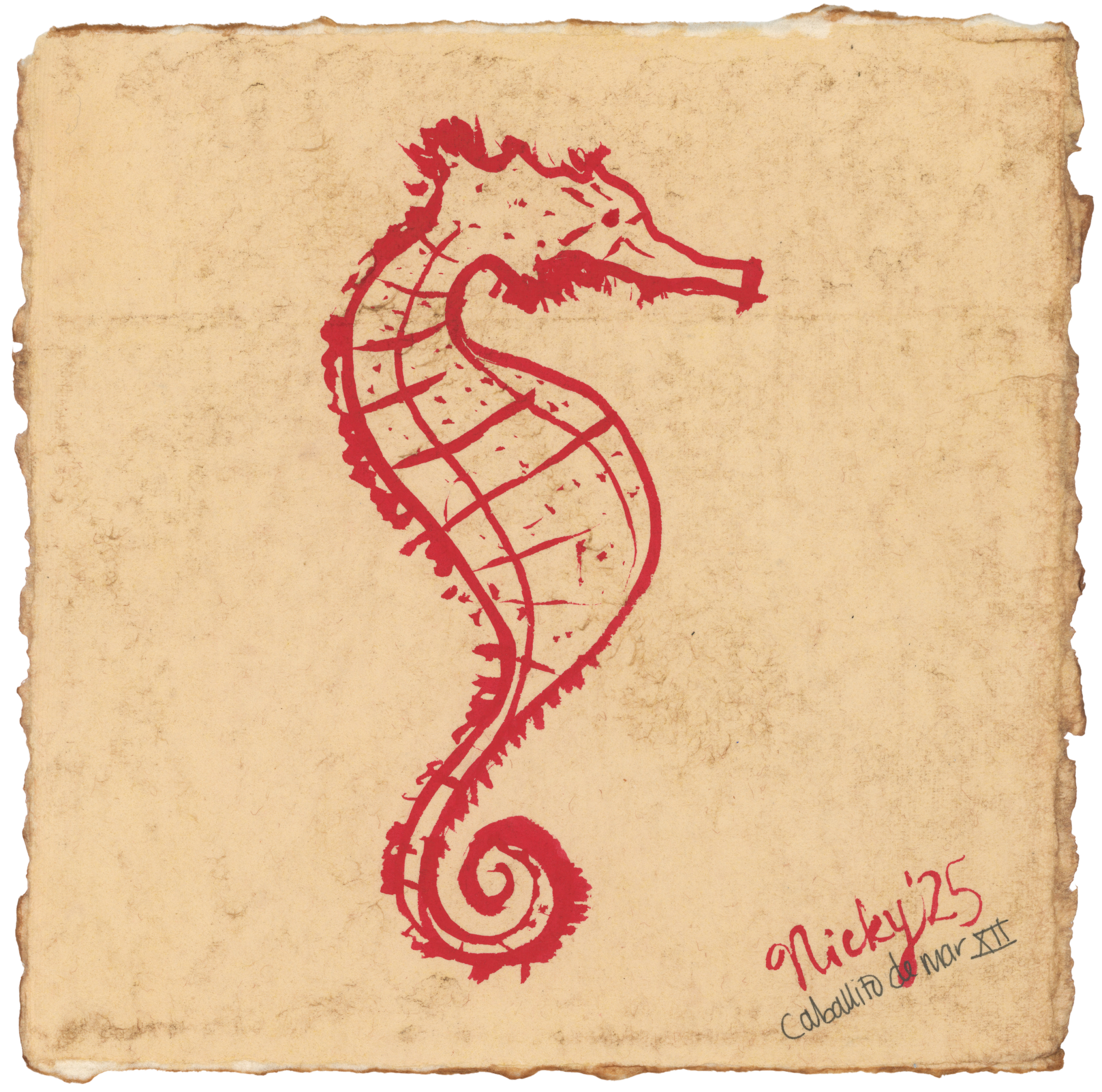 Caballito de Mar XII