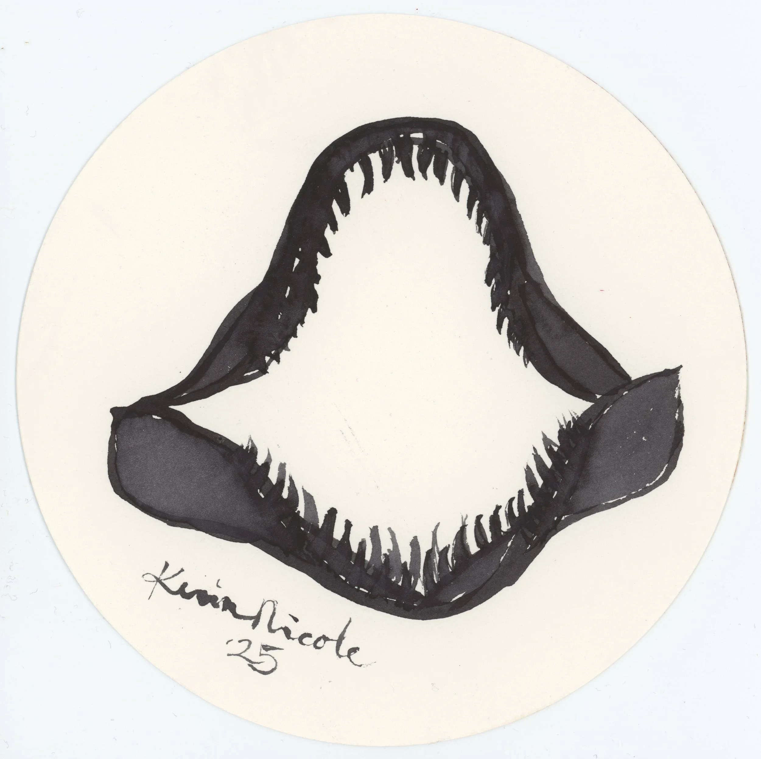 Dientes de Tiburón II