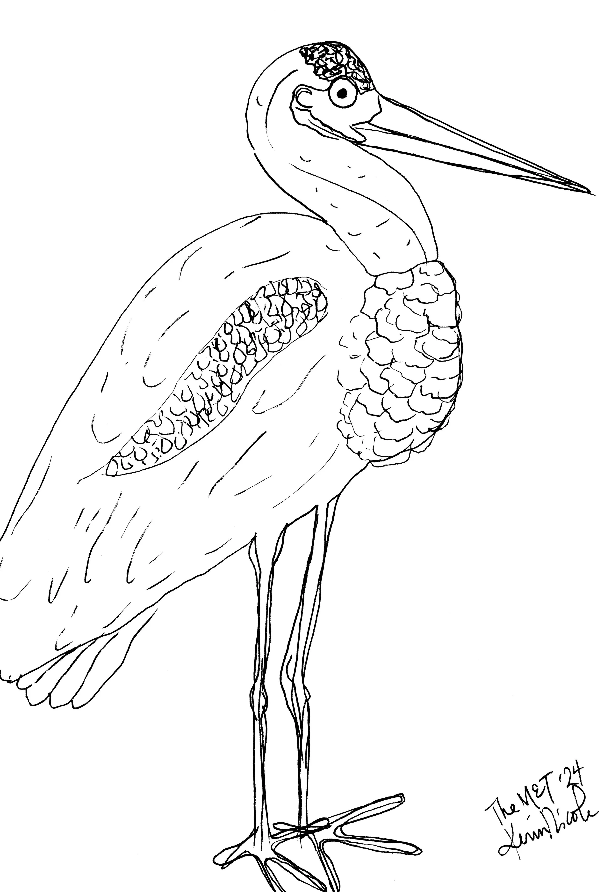 Study of MET Heron