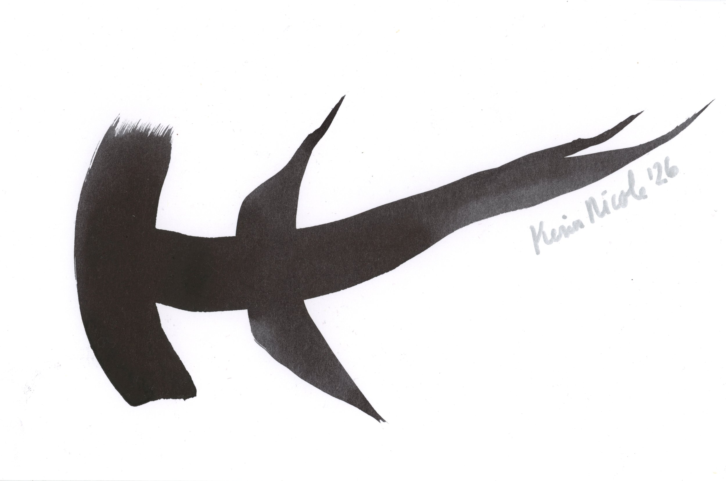 Hammerheads XXXVIII by Kerin Nicole