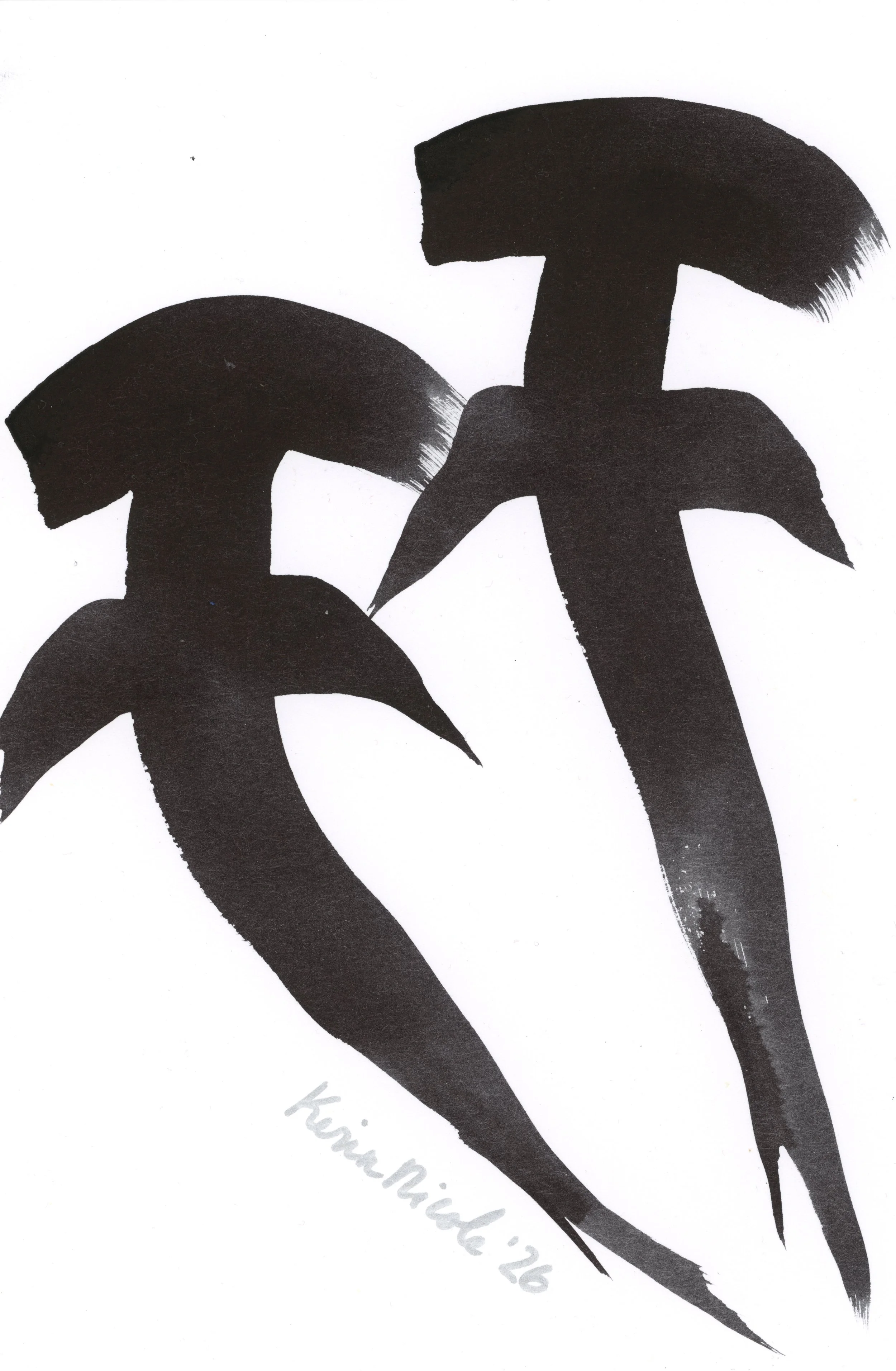 Hammerheads XL by Kerin Nicole