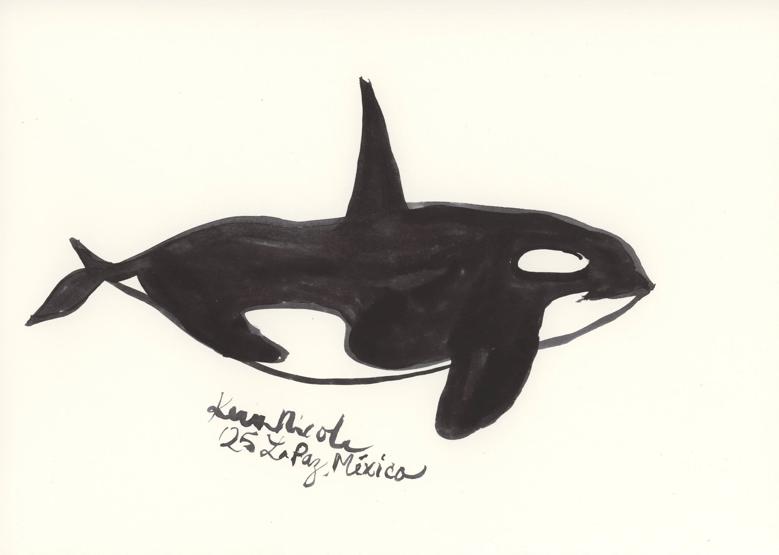 Orca I