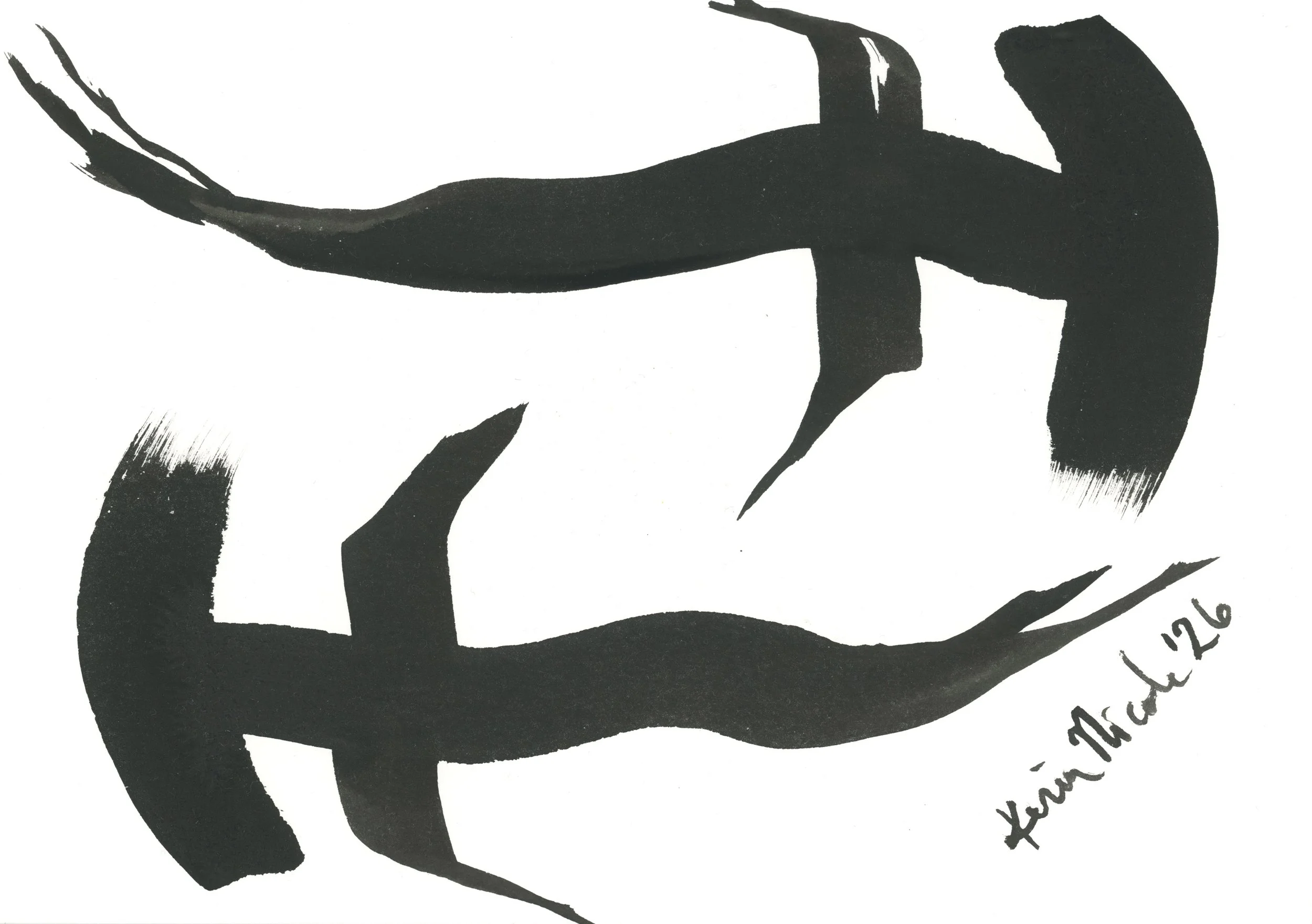 Hammerheads XCVI by Kerin Nicole
