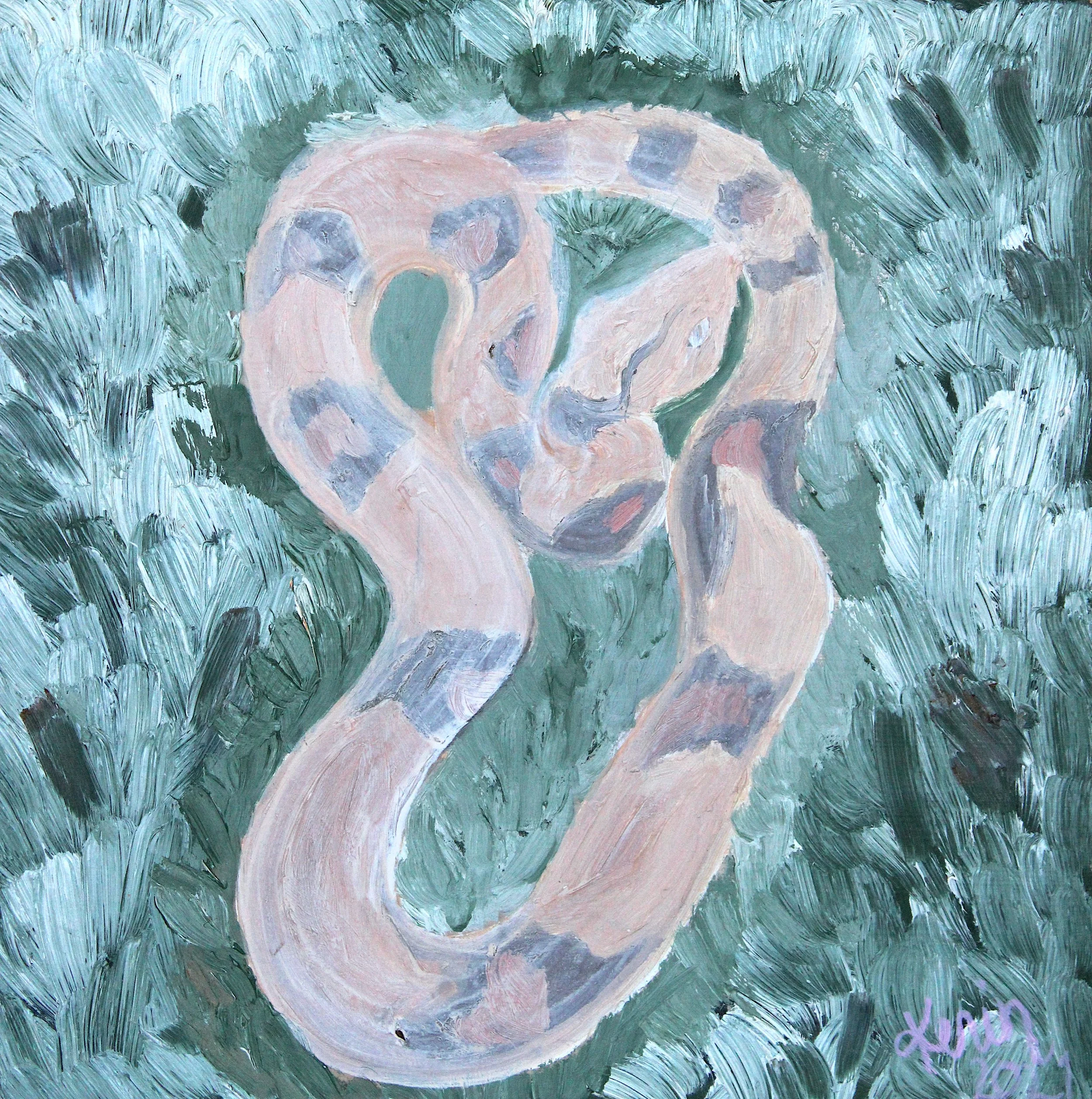 Copperhead Snake in Grass