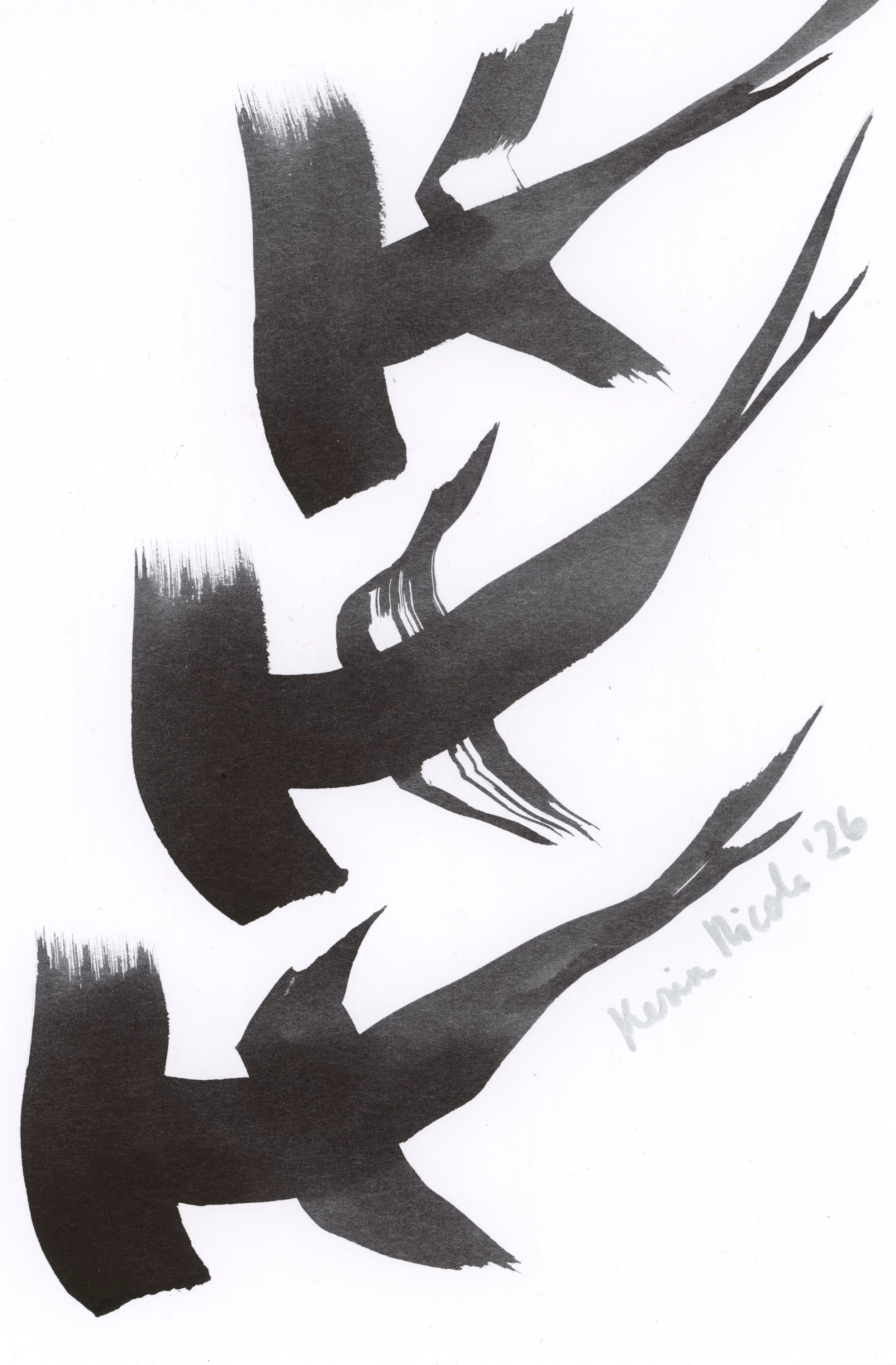 Hammerheads XXXVI by Kerin Nicole